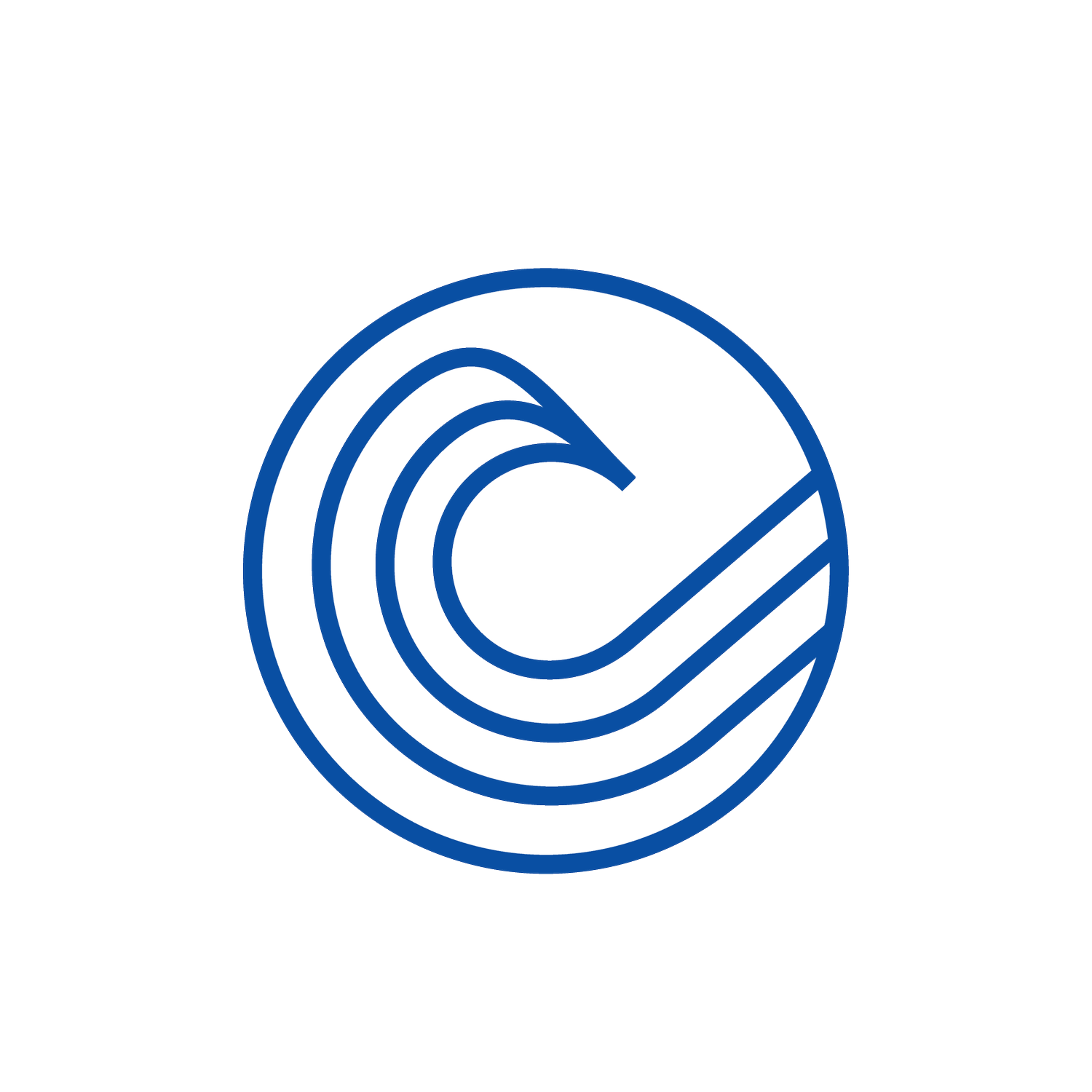 Blue Wave logo